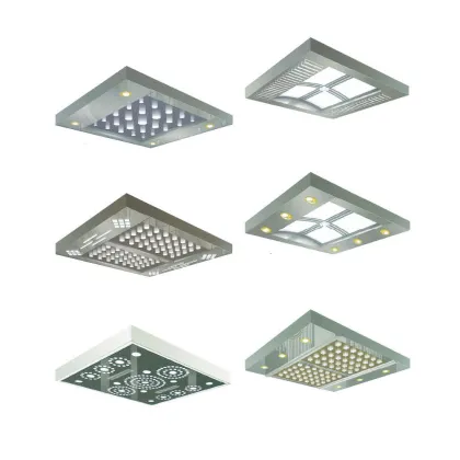 Luxury Brand of Passenger Lift Elevator Price