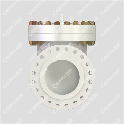 Casting Swing Check Valve