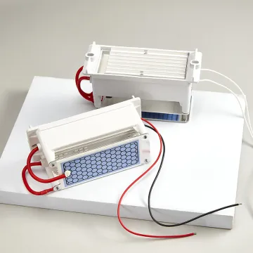Micro Small Tiny Ozone Power Supply for 110/220V Air Purifiers (10G-20G)