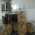 Casas de shiitake fritas de calidad