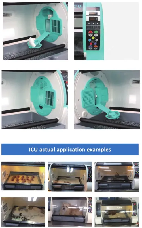 Veterinary Puppy Incubator for Pet Care