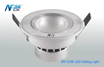 Energy-saving Cob Led Ceiling Light, 400lm 5w Led Ceiling Lighting