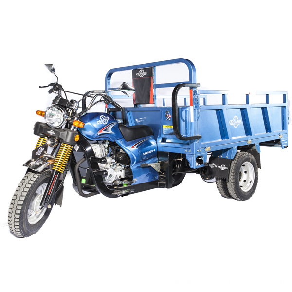 200cc Cargo Tricycle sale for Africa made in china cheap price