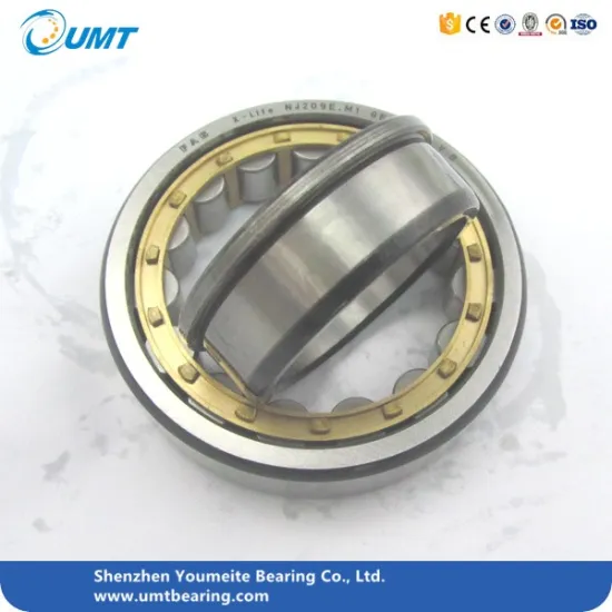Cylindrical Roller Bearing NJ2316