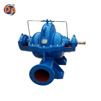 River Irrigation and Water Pump Systems: Sea, Lake, and Goulds Split Case Pumps