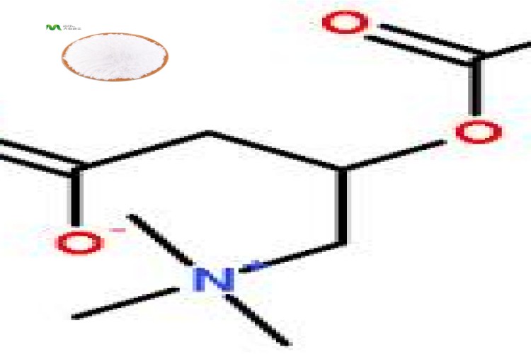 Acetyl l-carnitine Powder (2)