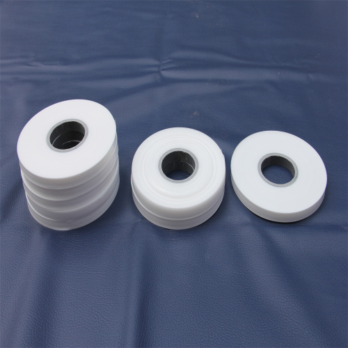 Ptfe Film Roll Rayhot PTFE Film for Medical Manufactory