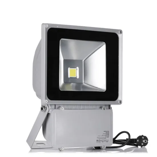 IP66 Rated 100W COB Outdoor Waterproof LED Flood Light