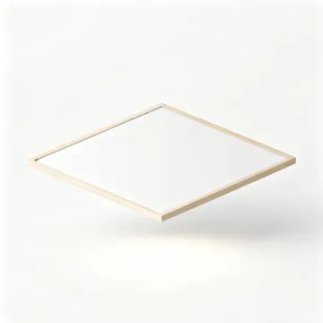 LED Ceiling Light for Home Renovation