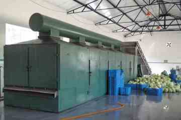 Fruit Mesh-Belt Dryer