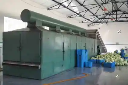 Chicken Essence Drying Line