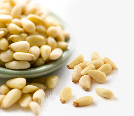 pine nut kernel m