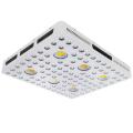 Il miglior Pannocchia da interno Led Grow Light Full Spectrum