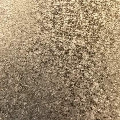 Environmentally Friendly Paint Coated Steel Aluminum