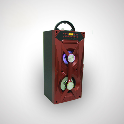 Karaoke Bluetooth Power Digital Speaker