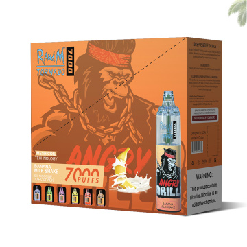 America Best Disposable Vape RandM Tornado 7000 Puffs