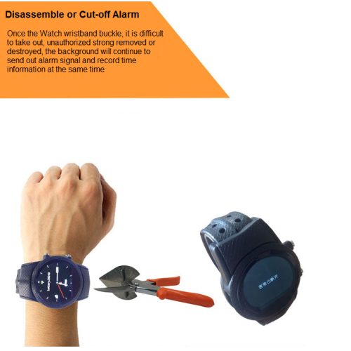 GPS Anti-Dismantle Watch for Prisoners/Kids/Elers