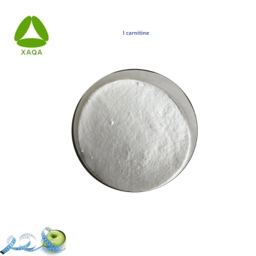 l carnitine raw powder L Carnitine ( Food Grade Raw Material Powder) Manufacturer), Bioextract,  Packaging Type: 100 kg Ready Stock at ₹ 1800/kg in Bengaluru main image 1