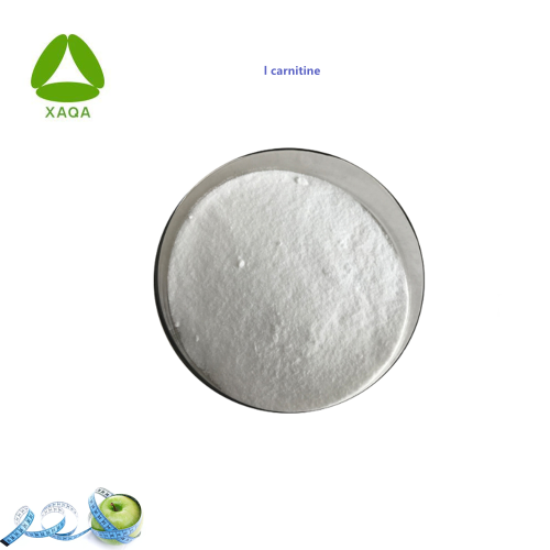 Weight Losing L-carnitine 99% 541-15-1 Raw Material Powder