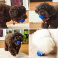 Quietschende Hundegummi -Spielzeugkugel -Ballspielzeug