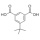 1,3-Benzenedicarboxylicacid, 5-(1,1-dimethylethyl)- CAS 2359-09-3