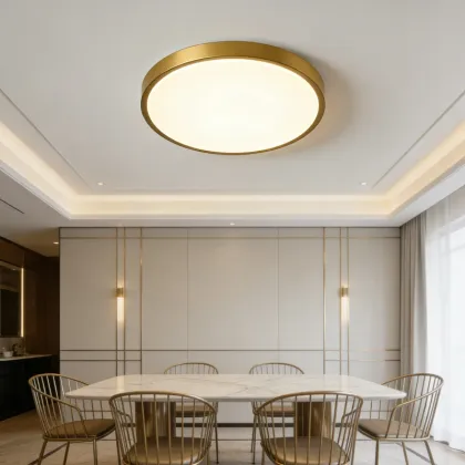 LED ceiling light for indoor lighting