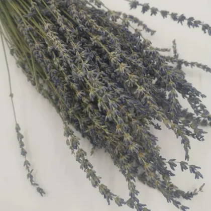 Factory Wholesale: Dried & Fresh Cut Flowers for Wedding & Home Decor