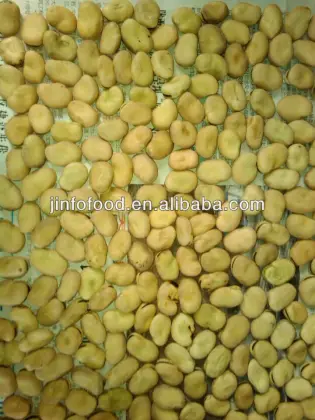 new broad Beans