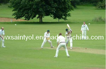 One Stop Service with Atificial Grass for Cricket Ground (CPG-18A)