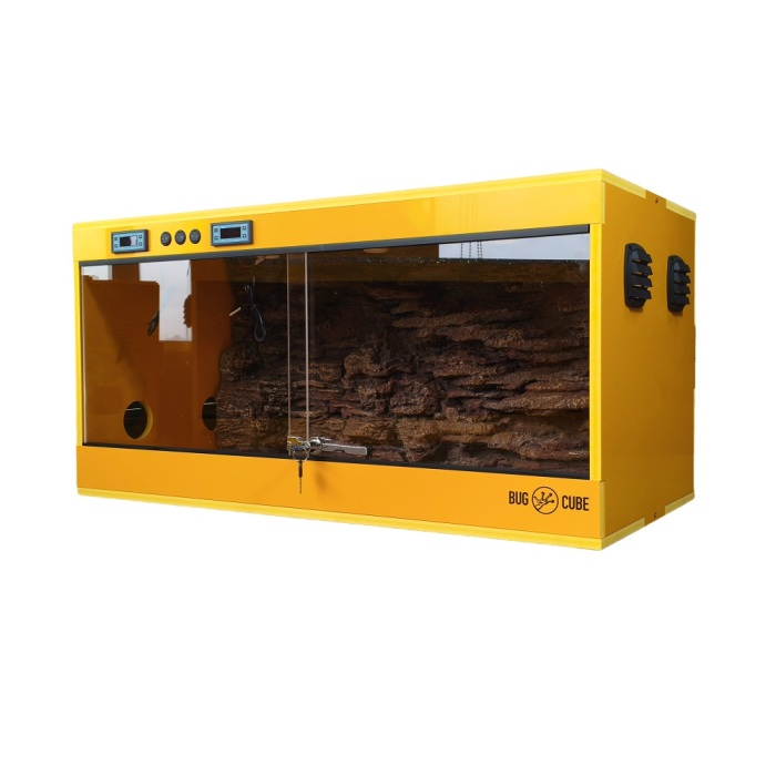 Tanques de répteis de PVC personalizados de cor de temperatura inteligente