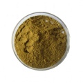 Improving Immunity Powder Bupleurum extract Chinese Thorowax Root Extract Manufactory