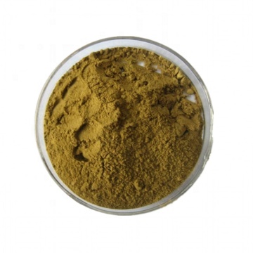 استخراج Bupleurum مستخلص جذر Thorowax الصيني