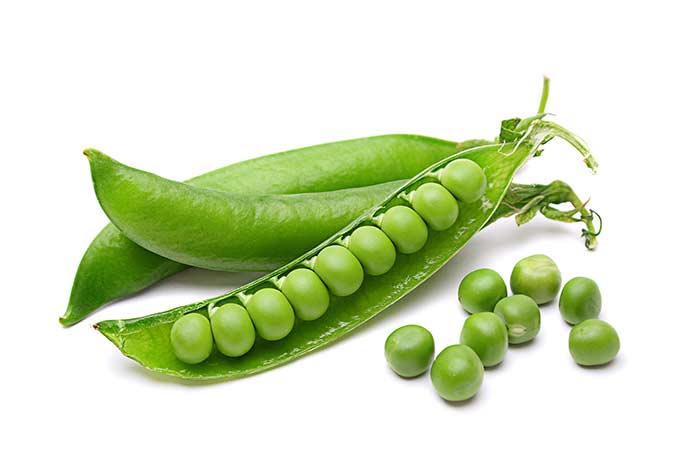 Food Supplement Protein Powder Pea Protein Isolate 85%