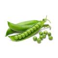 Food Supplement Protein Powder Pea Protein Isolate 85%