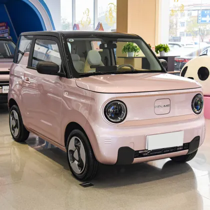 Geely Panda Mini EV Car - 4 Seat Electric Vehicle
