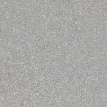 Gray Max Stone Rustic Porcelain Tile