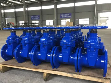 Ductile Iron BS5163 Resilient Seat Gate Valve