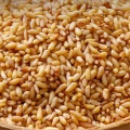 Biota Seed for Calming Herbal Use