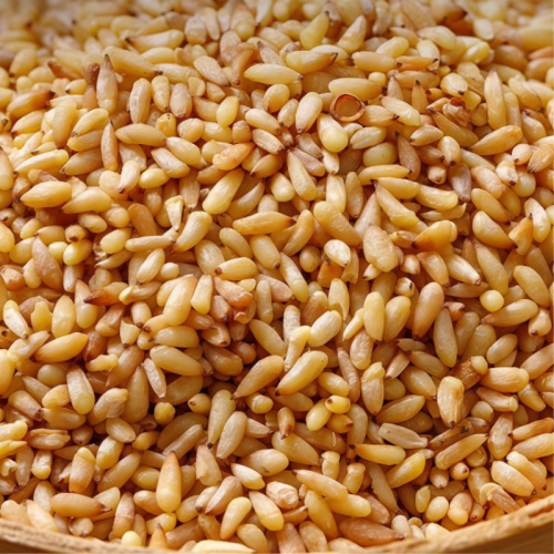Biota Seed for Calming Herbal Use