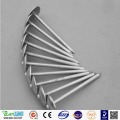 Bright Metal Luster Galvanized Paraply Head Roofing Nails