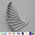 Wholesale umbrella head galvanized roofing nail