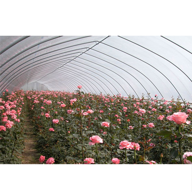 Tunnel-Greenhouse-