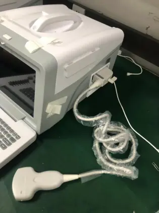 B/W Ultrasound machine Portable