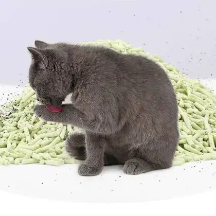 Tofu Pea Fiber Tofu Cat Litter Manufacturing Machinery & Complete Processing Equipment