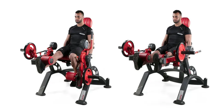 Popular High Quality Alternate leg extension