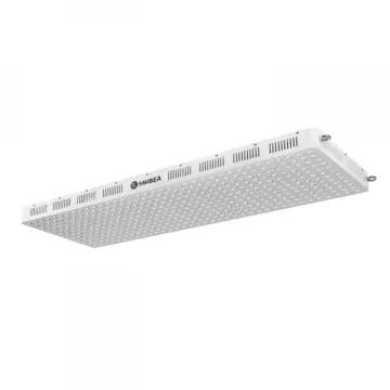 New Product Ideas 2020 200W Red Light Therapy