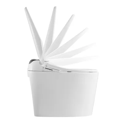 Wall-Hung Hidden Bathroom Concealed Toilet Tanks with Dual-Flush