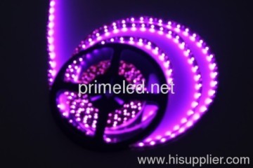 Pink Waterproof 3528 Smd Led Strip Lights 