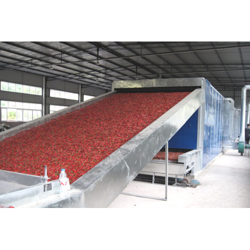 Pinus sylvestris wood belt drying equipment