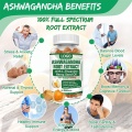 L Theanine Extract Ashwagandha Gummies